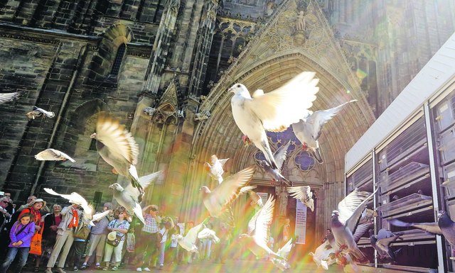 Kirchentag verleiht Flügel - Tauben als Friedensboten: 500 Friedenstauben stiegen am 
26. Mai in Magdeburg in den strahlend blauen Himmel auf – als Boten der »guten Nachricht« zusammen mit Wünschen und Gebeten. Domprediger Jörg Uhle-Wettler erinnerte an die Bedeutung der Taube in der biblischen Sintflut-Erzählung. Die Taube sei seit jeher »Spezialistin für Friedensfragen«, sagte er. Es würden 2017 so viele Worte gesprochen und Thesen entwickelt, die an Luthers 95 Thesen erinnern sollten, so der Domprediger. | Foto: epd-bild