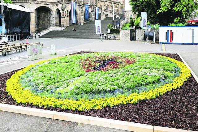 Inmitten der Bänke auf dem Erfurter Domplatz war sie erblüht: eine im Durchmesser zehn Meter große Lutherrose. Mehr als 3 000 Pflanzen hatten Mitarbeiter der Lehr- und Versuchsanstalt Gartenbau dafür ausgebracht. Zum Abschluss des Kirchentages wurden die Pflanzen gegen eine Spende an Blumenfreunde abgegeben. | Foto: Matthias Frank Schmidt