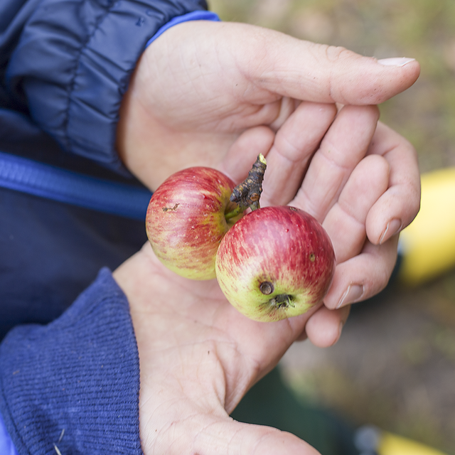 Foto: Mirjam Petermann