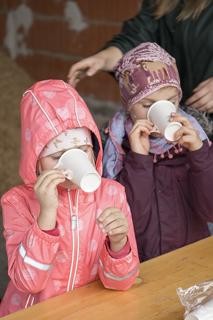 Vom Baum in den Becher: Wie der Apfel gepflückt, zerkleinert, ge-presst und schließlich zu leckerem Saft wird, konnten die Kinder sehen, fühlen und schmecken. | Foto: Mirjam Petermann