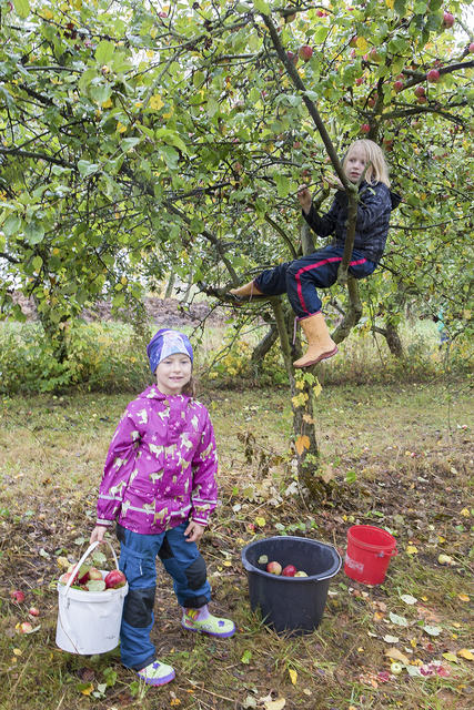 Foto: Mirjam Petermann