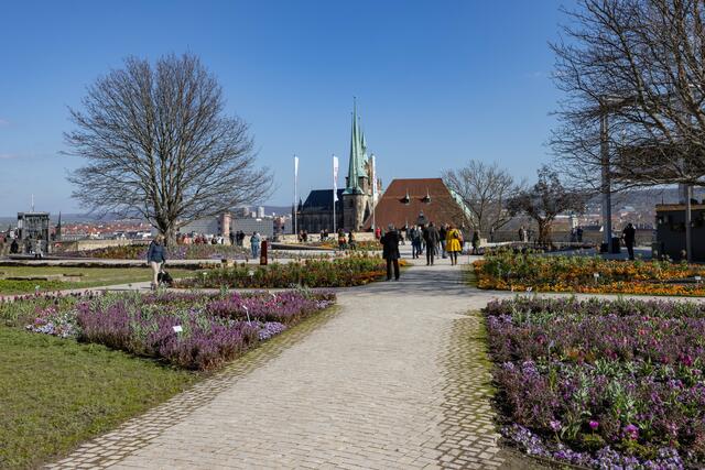 Vom Petersberg aus gestattet sich ein eindrucksvoller Blick auf Blumen und Domplatz. | Foto: Paul-Philipp Braun 