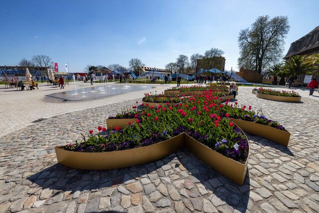 Der neugestaltete Petersberg ist ein Besuchermagnet. | Foto: Paul-Philipp Braun 