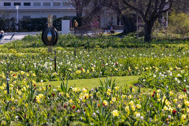Der sogenannte Wechselflor ist derzeit auf vielen Buga-Flächen zu finden. | Foto: Paul-Philipp Braun 