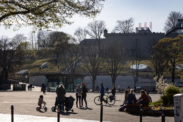 Der Petersberg im Herzen der Stadt ist einer der beiden Ausstellungsbeiträge der Buga. | Foto: Paul-Philipp Braun 