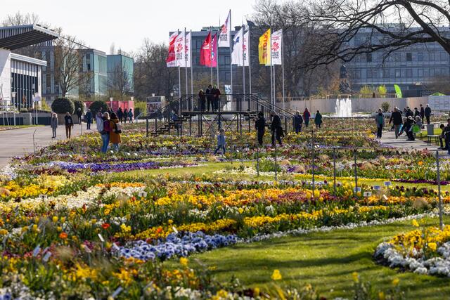 Auch das große Blumenbeet im Egapark ist ein Hingucker. | Foto: Paul-Philipp Braun 