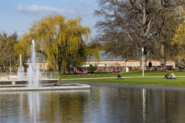 Die Buga lädt auch zum Entspannen ein. | Foto: Paul-Philipp Braun 