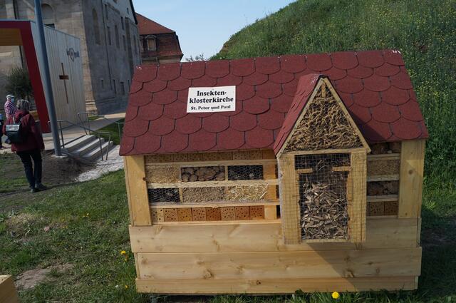 Vor dem Hintergrund der gefährdeten Lebensräume auch für Insekten will die Kirche in den Dialog treten.