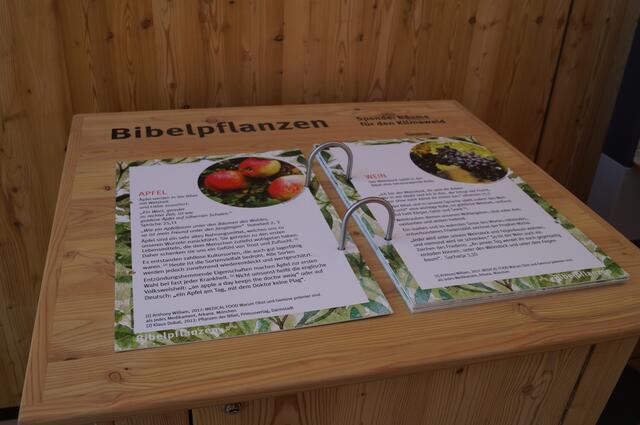 Eine Auswahl der wichtigsten Bibel- und Heilpflanzen werden hier vorgestellt.