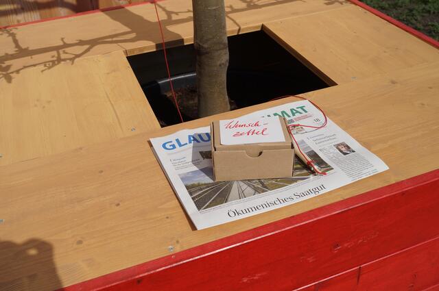 Jeder kann seinen Wunsch an die zwischen Kirschblüten gespannten Leinen klammern.