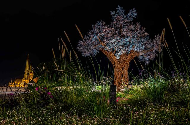 Der Paradiesbaum auf dem richtigen Platz, dem Petersberg Erfurt. Die Skulptur, als Sinnbild für Hoffnung und Leben.
Kategorie: Hobby | Foto: Foto: Gerd Greif