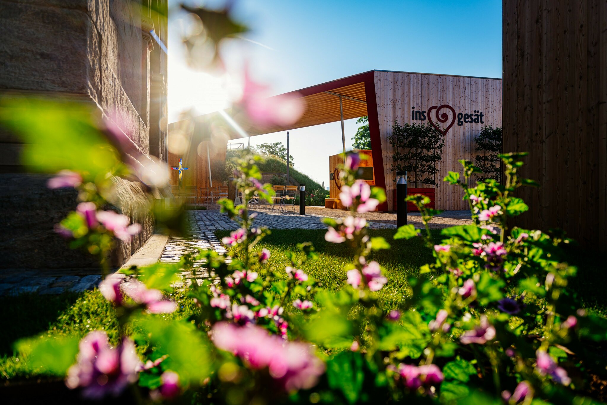 Vom Samen bis zur Blüte Alle BugaNews auf einen Blick