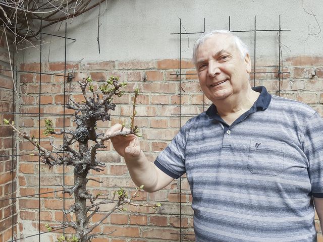 Gartenpfarrer Johannes Schmidt