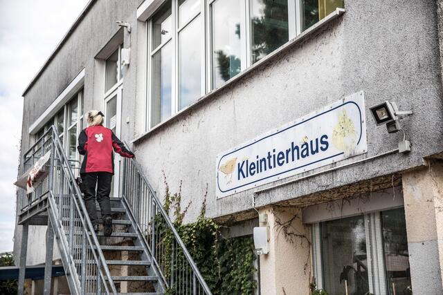 Das Kleintierhaus im Tierheim Fechenheim in Frankfurt a.M. Insgesamt ist das Kleintierhaus im Tierheim mit gut 150 Tieren fast doppelt so voll wie üblich. | Foto: epd-bild/Michael Schick