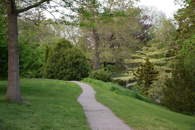 Neue Wege zu gehen  empfiehlt der Theologe Axel Denecke. | Foto: pixabay.de/Michael Kolbing