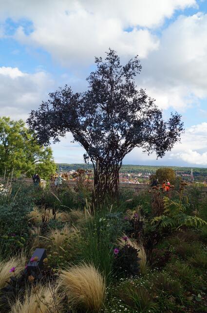 Der Paradiesbaum entsteht seit 2020 auf dem Petersberg als Sinnbild für Hoffnung und Leben. Über 65000 kupferne Blätter trägt er bereits.