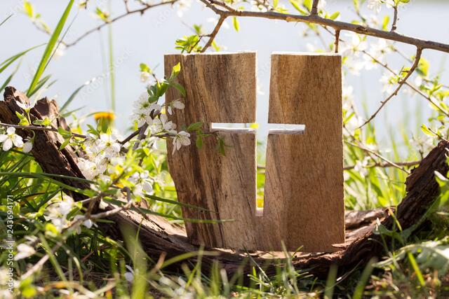  | Foto: ChristArt - stock.adobe.com