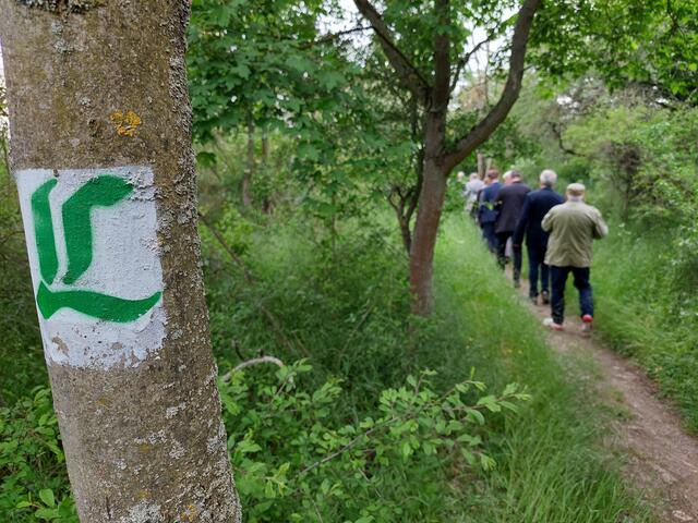 Foto: Johannes Killyen