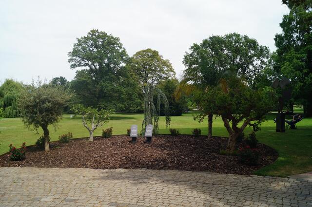 5 Bäume aus dem Alten Testament wurden ausgewählt als Symbol für Segen und Hoffnung: 
Olive, Feige, Zeder, Dattel und Granatapfel.