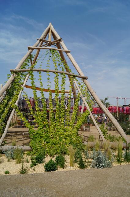 Hopfen umrankt den Altarraum.