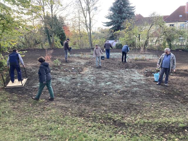 GKR-Einsatz im vergangenen Herbst: Die Kirchenältesten säen Rasen aus. | Foto: Anne Sommer