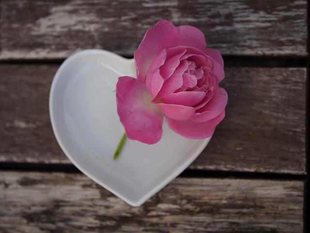 Foto: pixabay