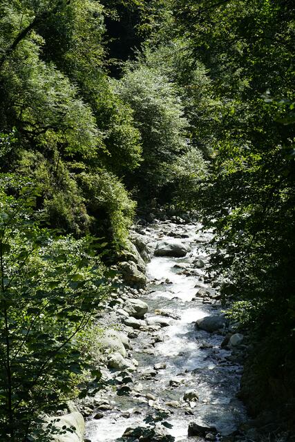 Wandern im Lagodekhi Nationalpark | Foto: André Poppowitsch