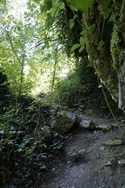 Wandern im Lagodekhi Nationalpark | Foto: André Poppowitsch