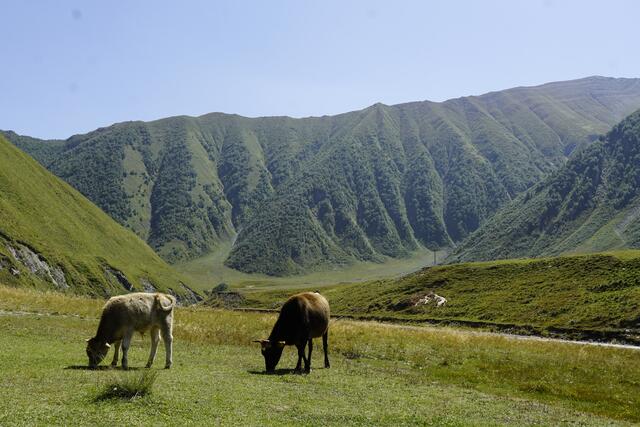 Wandern im Trusso-Tal | Foto: André Poppowitsch