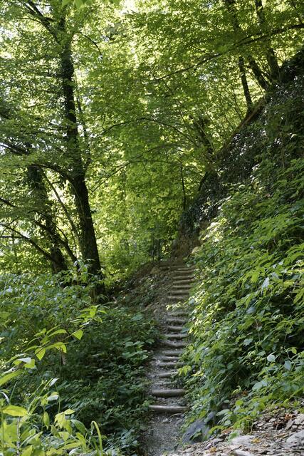 Wandern im Lagodekhi Nationalpark | Foto: André Poppowitsch
