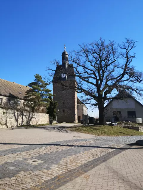 Die Karte, die ihm für sein brandmalerisches Großwerk zum Vorbild diente, entdeckte Seybering auf dem Dachboden der Kirche St. Peter und Paul in Holdenstedt. | Foto: Beatrix Heinrichs