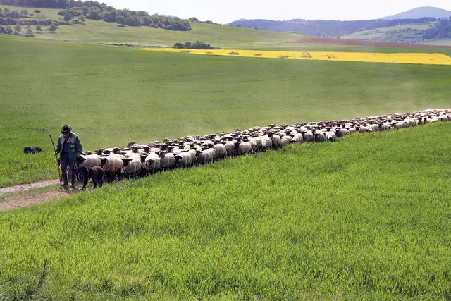Land der offenen Fernen: Mit diesem Bild wirbt die Rhön für sich. Dieselbe Sehnsucht nach Weite, mit Platz für kreative Ideen und engagierte Ehrenamtliche, würde auch der Kirche guttun, meint Christoph Ernst. | Foto: Klaus Nowottnick – stock.adobe.com