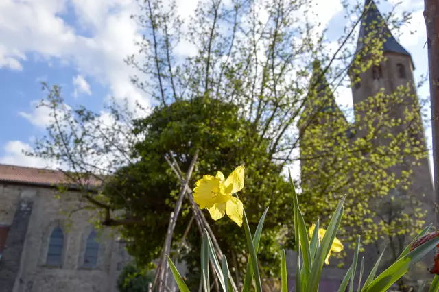 Der Klostergarten Drübeck im Frühjahr  | Foto: Foto: Willi Wild