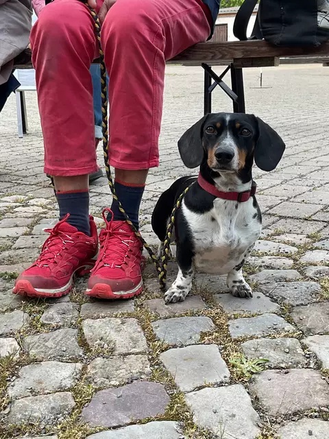 Foto: Ev. Kirchenkreis Egeln