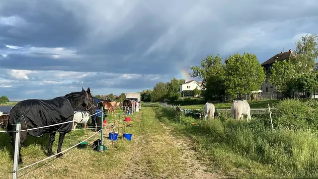 Foto: Donatha Castell