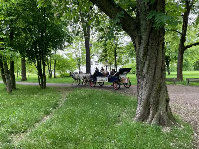 Foto: Donatha Castell