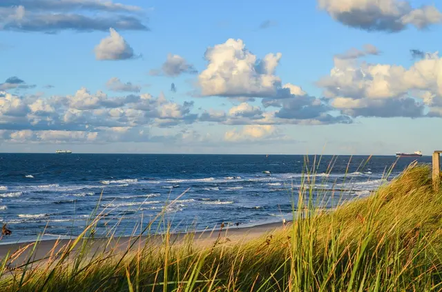 Foto: pixabay/Henning_W