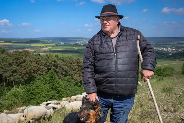Elmar Spies hat lange auf dem Bau gearbeitet. Als er vor 46 Jahren zwei Schafe geschenkt bekam, war das der Start zu einer eigenen Herde. Heute bewirtschaftet er mit seinem Sohn eine Schäferei mit 1200 Tieren. | Foto: Fotos (2): epd-bild/Selina Groß