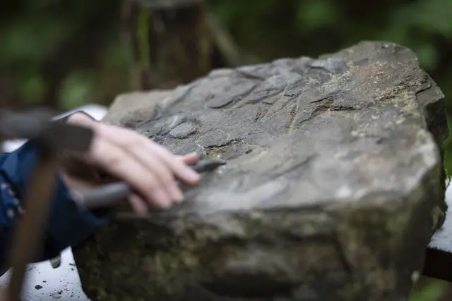 Foto: Paul-Philipp Braun