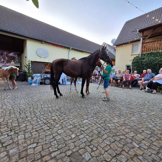 Foto: Jörg Herrmann