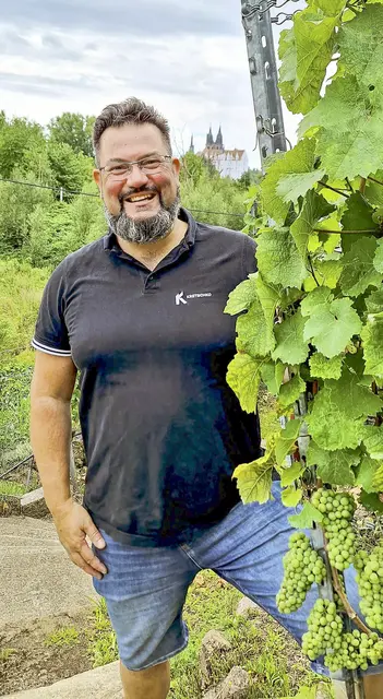 2,5 Hektar verteilt auf neun Flächen in Meißen, Radebeul und Döltzschen bewirtschaftet Andreas Kretschko aktuell. Im Weinberg im Heiligen Grund in Meißen öffnet sich der Blick Richtung Burgberg mit dem Dom St. Johannis und St. Donatus auf der einen und dem Fels Gottesgab auf der anderen Seite. | Foto: Kathrin König