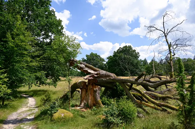 Foto: epd-bild/Heike Lyding