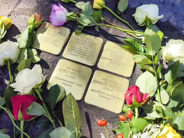 Die fünf Stolpersteine, die auf dem Gehweg in der Wilhelm-Raabe-Straße 9 eingelassen wurden, erinnern an die Familie Weißler und die Schicksale ihrer Mitglieder. | Foto: Thorsten Keßler