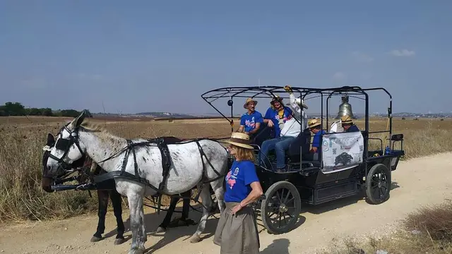 Zwei Maultiere ziehen den Friedenstreck durch Israel | Foto: Friedenstreck