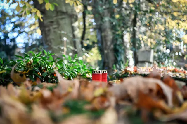 Foto: Foto: kna-bild/Julia Steinbrecht