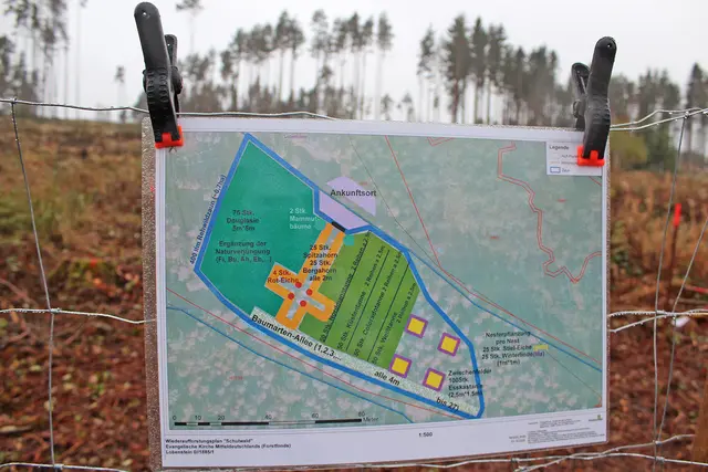 Foto: Foto: Sandra Smailes