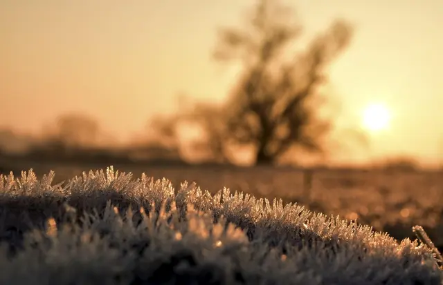 Foto: pixabay/Peggychoucair