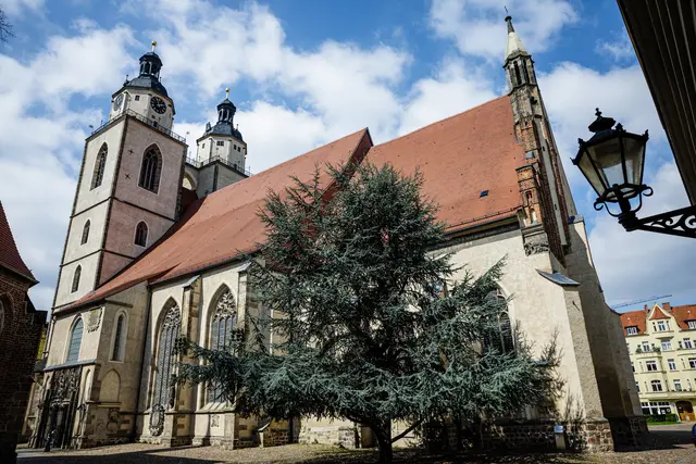 Die Wittenberger Stadtkirche St. Marien. Sie war die Predigtkirche des Reformators Martin Luther. An der Traufe des Daches im Südosten des Gotteshauses ist die judenfeindliche Schmähplastik angebracht.  Seit 1990 wächst als Zeichen der Versöhnung eine Zeder vor der Kirche. | Foto: epd-bild /Jens Schlueter