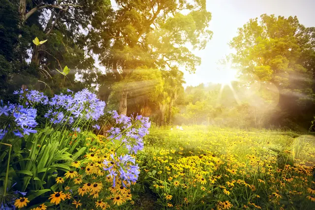 Eigentlich hatte Gott anderes vor: Das Paradies sollte der Ort einer Freundschaft zwischen ihm und seinen Geschöpfen sein. | Foto: Konstiantyn – stock.adobe.com