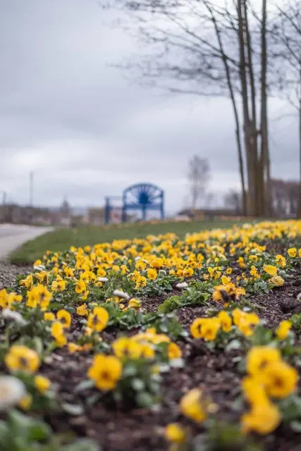 Foto: Landesgartenschau/Christin Engel